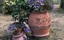 Photo submitted by guest of Villa Flora