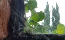 Photo submitted by guest of Tara