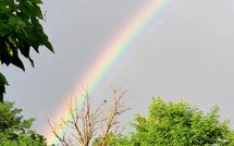 Photo submitted by guest of Pagliazzone