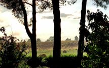 Photo submitted by guest of Pagliazzone