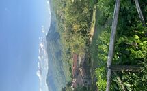 Photo submitted by guest of Villa Il Roseto