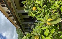 Photo submitted by guest of Vinci 980