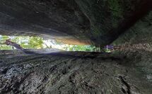 Photo submitted by guest of Scansano 100