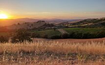 Photo submitted by guest of Scansano 100