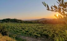 Photo submitted by guest of Villa Giotto