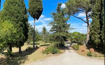 Photo submitted by guest of Villa Cecilia