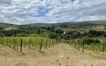 Photo submitted by guest of Vittoriana