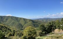 Photo submitted by guest of Villa Margherita