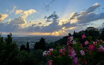 Photo submitted by guest of Il Frantoio