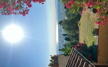 Photo submitted by guest of Il Frantoio