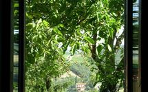 Photo submitted by guest of Val di Gallo 4