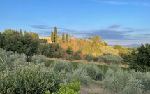 Photo submitted by guest of Casa Cervognano