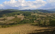 Photo submitted by guest of Villa del Conte