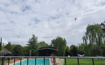 Photo submitted by guest of La Quiete