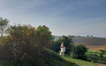 Photo submitted by guest of Chiusi 607