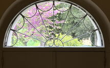 Photo submitted by guest of Poggio Falcone