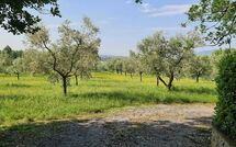 Photo submitted by guest of Il Fontanino