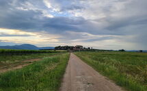 Photo submitted by guest of Borgo Casa di Lappi