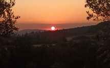 Photo submitted by guest of Villa Giotto