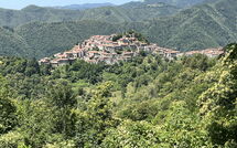 Photo submitted by guest of Broccolo