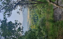 Photo submitted by guest of La Ripresa