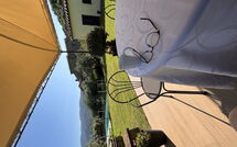 Photo submitted by guest of Orangerie degli Ulivi