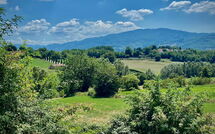 Photo submitted by guest of Villa la Collina