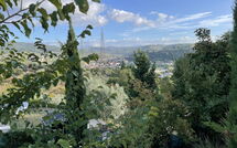 Photo submitted by guest of La Rosa