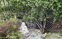 Photo submitted by guest of Villa Ancora