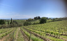 Photo submitted by guest of Tavarnelle Val di Pesa 617