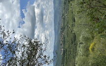 Photo submitted by guest of Casa Rossa