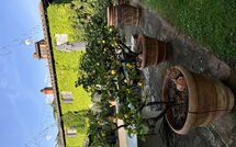 Photo submitted by guest of Podere la Torre