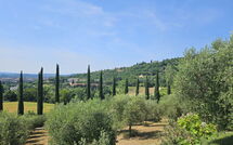 Photo submitted by guest of Tenuta Il Tresto