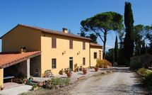 Photo submitted by guest of Mercatale