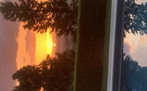 Photo submitted by guest of Lajatico 602