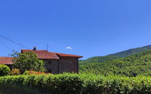 Photo submitted by guest of La Casa del Nonno