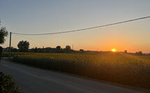 Photo submitted by guest of Villa Cantagallo