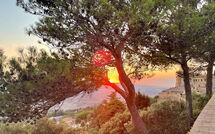 Photo submitted by guest of Podere Santa Lucia