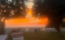 Photo submitted by guest of Massarosa Front Lake, the Gargoyles