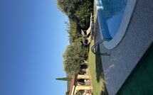 Photo submitted by guest of Villa Il Cipresso