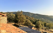 Photo submitted by guest of La Casa nel Borgo