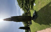 Photo submitted by guest of Il Casale