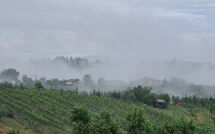 Photo submitted by guest of Pozzo dei Desideri