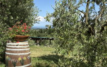 Photo submitted by guest of Il Campanile