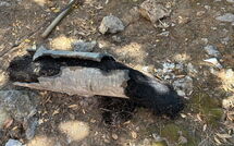 Photo submitted by guest of Von Salis