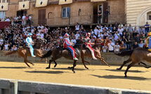 Photo submitted by guest of Tenuta Il Tresto