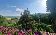 Photo submitted by guest of Villa Cecilia