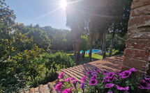 Photo submitted by guest of Villa Cecilia