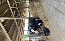Photo submitted by guest of Villa del Borgo