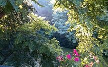 Photo submitted by guest of Podere Il Doccio